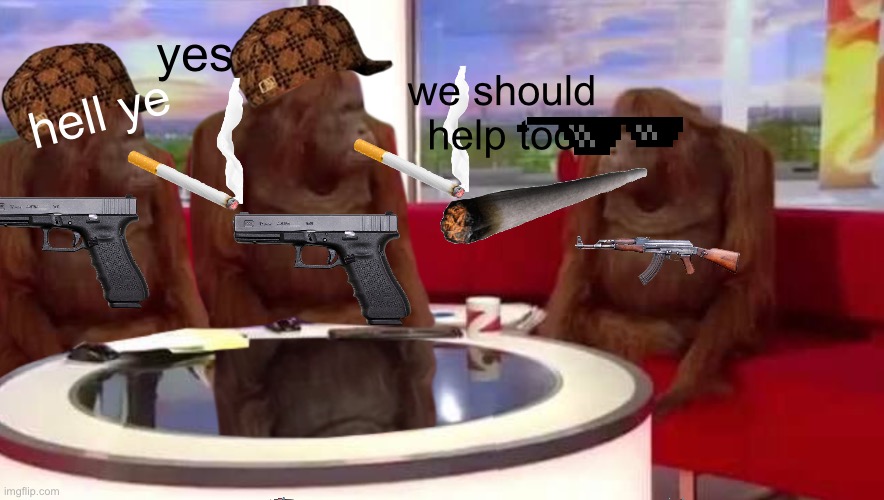 where monkey | we should help too yes hell ye | image tagged in where monkey | made w/ Imgflip meme maker