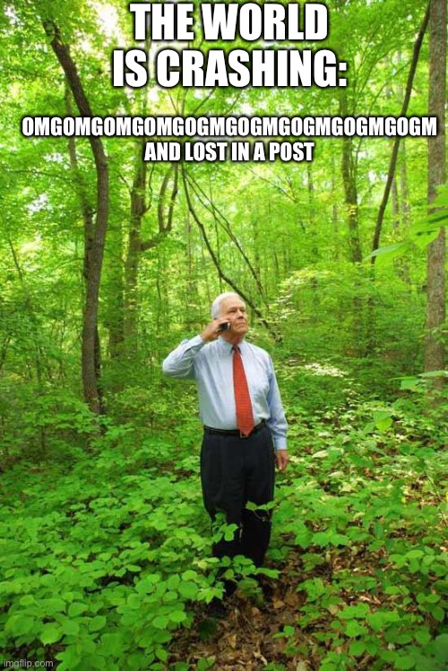 Lost in the Woods | THE WORLD IS CRASHING:; OMGOMGOMGOMGOGMGOGMGOGMGOGMGOGM AND LOST IN A POST | image tagged in lost in the woods | made w/ Imgflip meme maker