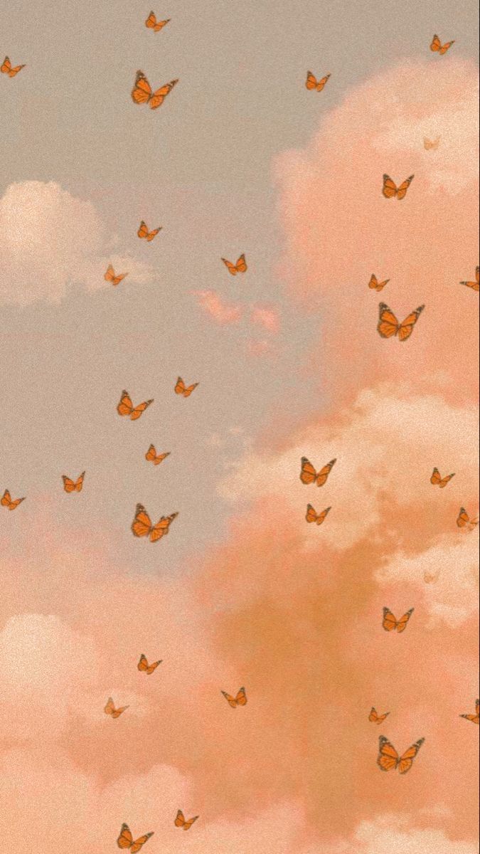 High Quality Aesthetic butterfly background Blank Meme Template