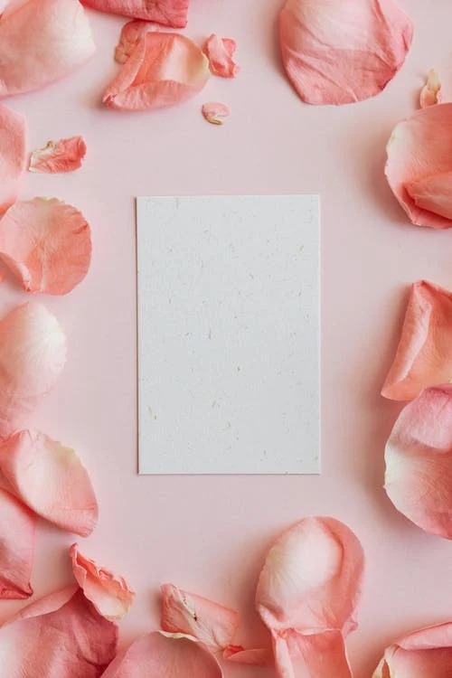 Aesthetic rose petals Blank Meme Template