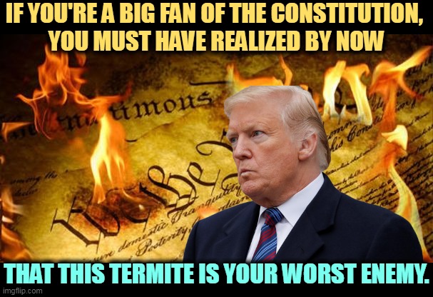 Orderly transfer of power. | IF YOU'RE A BIG FAN OF THE CONSTITUTION, 
YOU MUST HAVE REALIZED BY NOW; THAT THIS TERMITE IS YOUR WORST ENEMY. | image tagged in constitution in flames,trump,criminal,break,laws,constitution | made w/ Imgflip meme maker