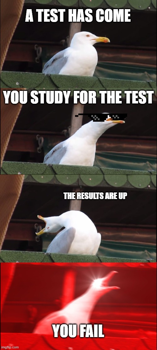facts | A TEST HAS COME; YOU STUDY FOR THE TEST; THE RESULTS ARE UP; YOU FAIL | image tagged in memes,inhaling seagull | made w/ Imgflip meme maker