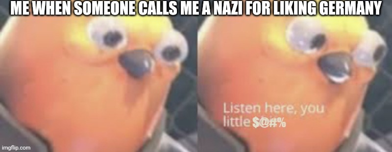 People doing this is borderline racism. | ME WHEN SOMEONE CALLS ME A NAZI FOR LIKING GERMANY | image tagged in now listen here you little,germany | made w/ Imgflip meme maker