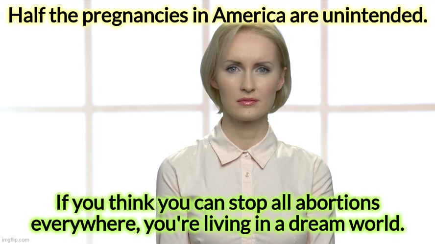 Half the pregnancies in America are unintended. If you think you can stop all abortions everywhere, you're living in a dream world. | image tagged in end,abortion,fantasy | made w/ Imgflip meme maker