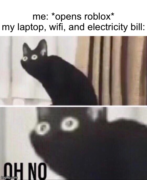 at this point my laptop and wifi are just getting murdered | me: *opens roblox*

my laptop, wifi, and electricity bill: | image tagged in oh no cat,roblox,wifi | made w/ Imgflip meme maker