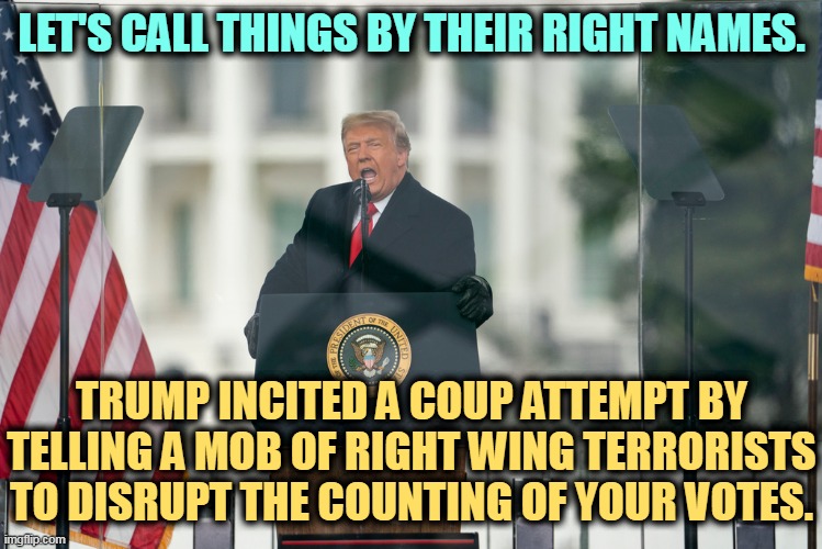 LET'S CALL THINGS BY THEIR RIGHT NAMES. TRUMP INCITED A COUP ATTEMPT BY TELLING A MOB OF RIGHT WING TERRORISTS TO DISRUPT THE COUNTING OF YOUR VOTES. | image tagged in trump,coup,mob,right wing,terrorists,election 2020 | made w/ Imgflip meme maker