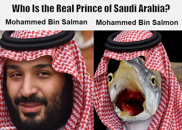 Who Is the Real Prince of Saudi Arabia? | image tagged in saudi arabia,mohammed,salman,salmon,funny,memes | made w/ Imgflip meme maker