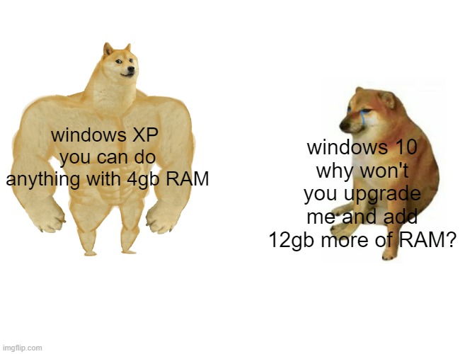 weak win10 | windows XP 
you can do anything with 4gb RAM; windows 10
why won't you upgrade me and add 12gb more of RAM? | image tagged in memes,buff doge vs cheems,windows 10,windows xp | made w/ Imgflip meme maker