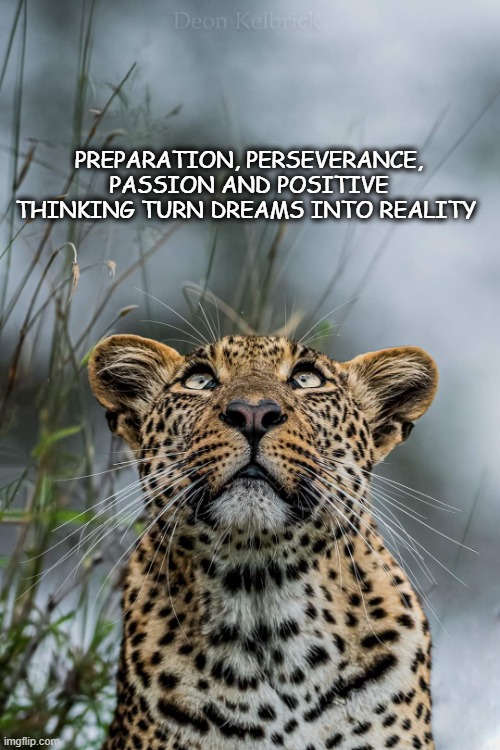 positive thinking | PREPARATION, PERSEVERANCE, PASSION AND POSITIVE THINKING TURN DREAMS INTO REALITY | image tagged in motivational | made w/ Imgflip meme maker