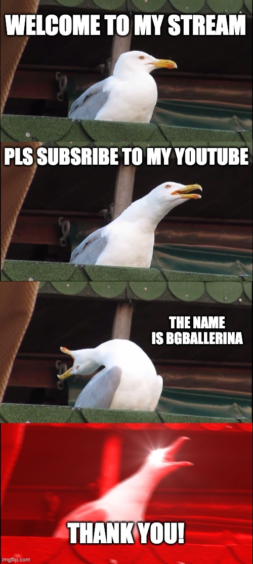 Inhaling Seagull | WELCOME TO MY STREAM; PLS SUBSRIBE TO MY YOUTUBE; THE NAME IS BGBALLERINA; THANK YOU! | image tagged in memes,inhaling seagull | made w/ Imgflip meme maker