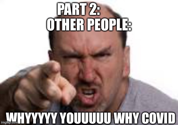 Part 2: other people | PART 2:        
OTHER PEOPLE:; WHYYYYY YOUUUUU WHY COVID | image tagged in meme | made w/ Imgflip meme maker