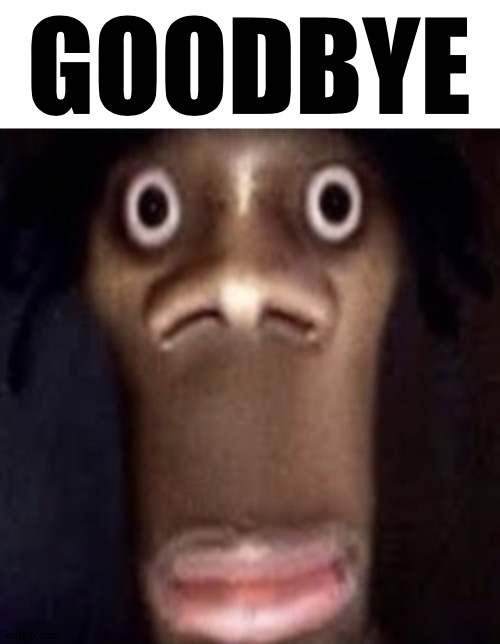 GOODBYE | image tagged in quandale dingle | made w/ Imgflip meme maker