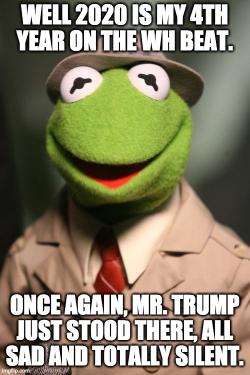 Kermit Reporter | WELL 2020 IS MY 4TH
YEAR ON THE WH BEAT. ONCE AGAIN, MR. TRUMP
JUST STOOD THERE, ALL
SAD AND TOTALLY SILENT. | image tagged in kermit reporter | made w/ Imgflip meme maker