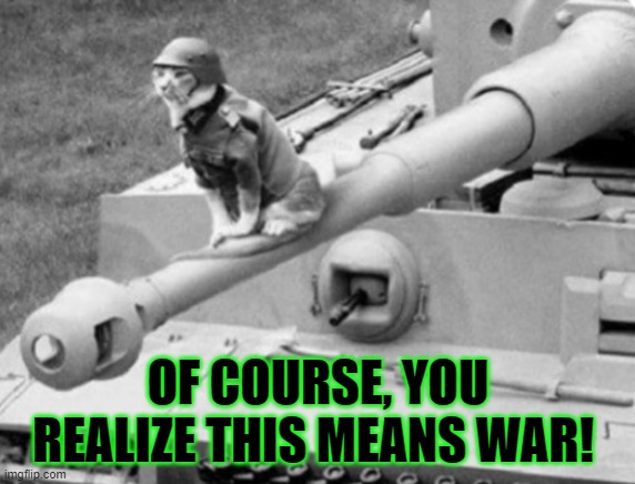 War Kitty | OF COURSE, YOU REALIZE THIS MEANS WAR! | image tagged in war kitty,cat,war machine,kitty cat,meow,army | made w/ Imgflip meme maker