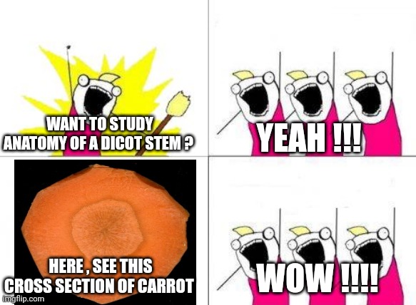 What Do We Want Meme | WANT TO STUDY ANATOMY OF A DICOT STEM ? YEAH !!! HERE , SEE THIS CROSS SECTION OF CARROT; WOW !!!! | image tagged in memes,what do we want | made w/ Imgflip meme maker