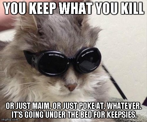 YOU KEEP WHAT YOU KILL OR JUST MAIM. OR JUST POKE AT. WHATEVER. IT'S GOING UNDER THE BED FOR KEEPSIES. | image tagged in cats are riddicks,funny,cats | made w/ Imgflip meme maker