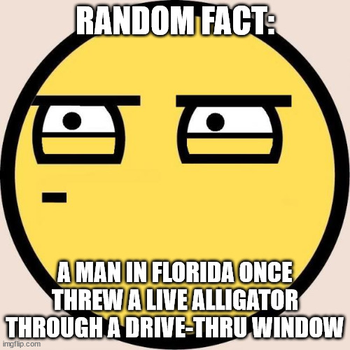 It always happens in Florida | RANDOM FACT:; A MAN IN FLORIDA ONCE THREW A LIVE ALLIGATOR THROUGH A DRIVE-THRU WINDOW | image tagged in random useless fact of the day | made w/ Imgflip meme maker