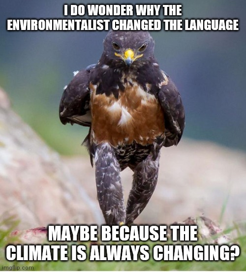 Global Warming | I DO WONDER WHY THE ENVIRONMENTALIST CHANGED THE LANGUAGE; MAYBE BECAUSE THE CLIMATE IS ALWAYS CHANGING? | image tagged in wondering wandering falcon,its freezing,late seasonal melting,control,power,probably evil | made w/ Imgflip meme maker