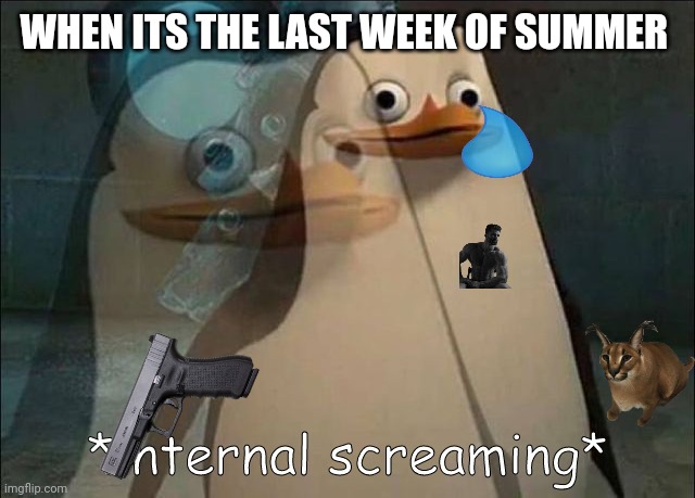Last day of summer | WHEN ITS THE LAST WEEK OF SUMMER | image tagged in private internal screaming | made w/ Imgflip meme maker