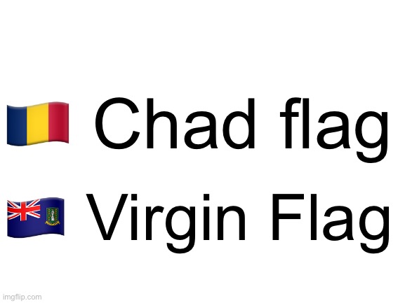Blank White Template | 🇹🇩 Chad flag; 🇻🇬 Virgin Flag | image tagged in blank white template | made w/ Imgflip meme maker