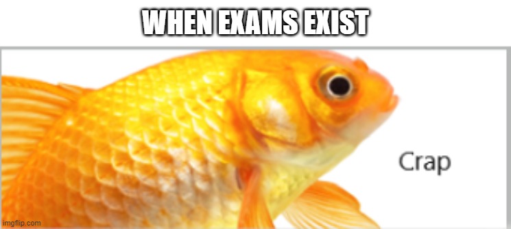 smh | WHEN EXAMS EXIST | image tagged in fish crap | made w/ Imgflip meme maker