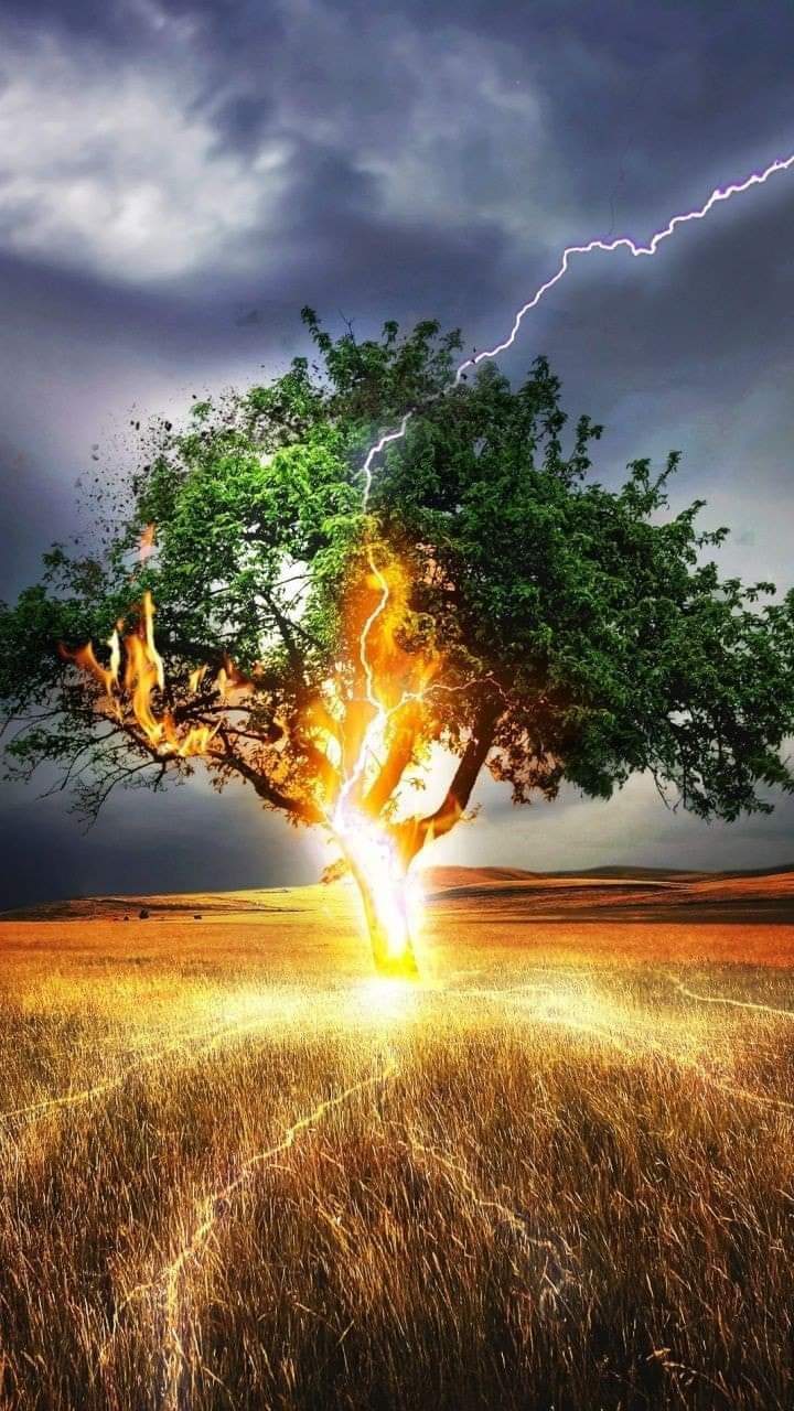 Lightning hitting a tree Blank Meme Template
