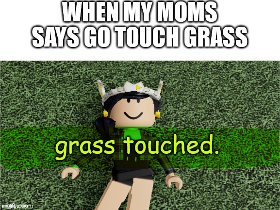 ineta_playz touches grass | WHEN MY MOMS SAYS GO TOUCH GRASS | image tagged in ineta_playz touches grass | made w/ Imgflip meme maker