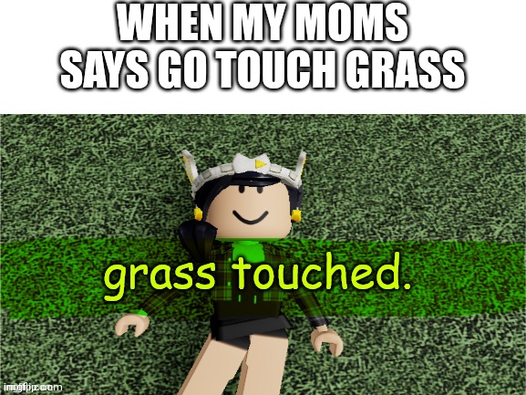 How to touch grass Meme Generator - Imgflip