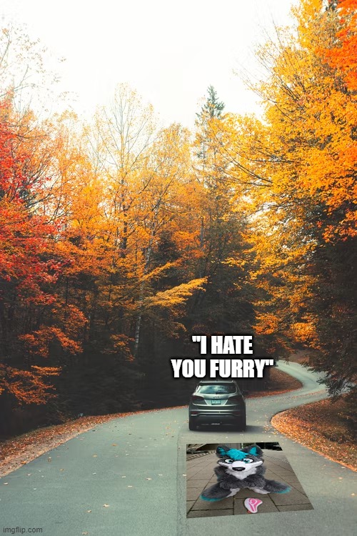 da kar just stepped da furry | "I HATE YOU FURRY" | image tagged in memes,poor,furry | made w/ Imgflip meme maker