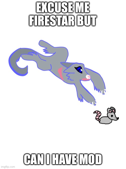 Bluestar | EXCUSE ME FIRESTAR BUT; CAN I HAVE MOD | image tagged in bluestar | made w/ Imgflip meme maker