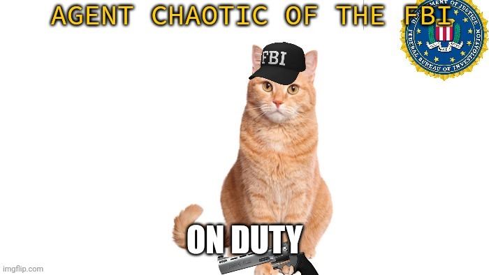 Chaotic Fbi | ON DUTY | image tagged in chaotic fbi | made w/ Imgflip meme maker