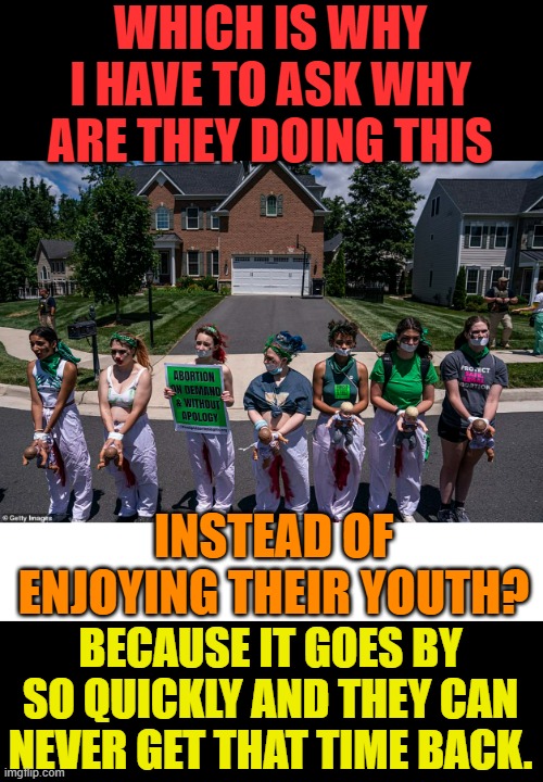 They Look So Young... | WHICH IS WHY I HAVE TO ASK WHY ARE THEY DOING THIS; INSTEAD OF ENJOYING THEIR YOUTH? BECAUSE IT GOES BY SO QUICKLY AND THEY CAN NEVER GET THAT TIME BACK. | image tagged in memes,protesters,wasted,youth,conservatives,politics | made w/ Imgflip meme maker
