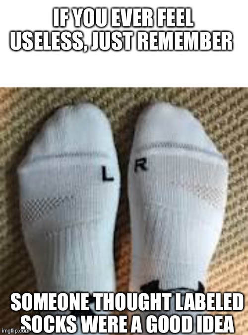 IF YOU EVER FEEL USELESS, JUST REMEMBER; SOMEONE THOUGHT LABELED SOCKS WERE A GOOD IDEA | image tagged in useless stuff | made w/ Imgflip meme maker