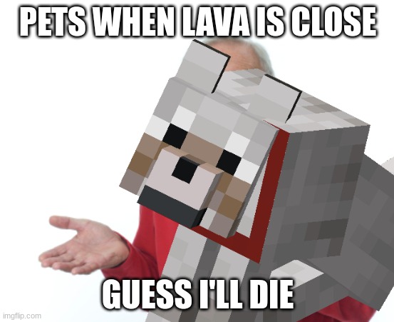  PETS WHEN LAVA IS CLOSE; GUESS I'LL DIE | image tagged in mincraft | made w/ Imgflip meme maker