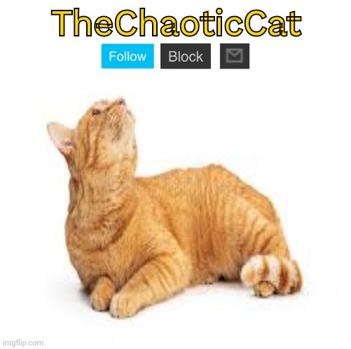 High Quality TheChaoticCat temp Blank Meme Template