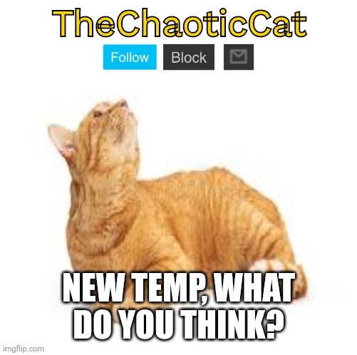 TheChaoticCat temp | NEW TEMP, WHAT DO YOU THINK? | image tagged in thechaoticcat temp | made w/ Imgflip meme maker