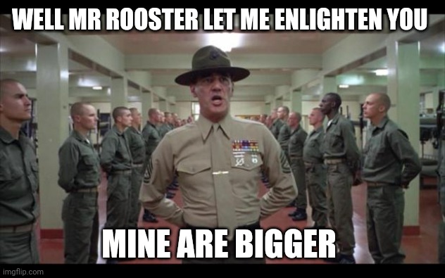 full metal jacket | WELL MR ROOSTER LET ME ENLIGHTEN YOU MINE ARE BIGGER | image tagged in full metal jacket | made w/ Imgflip meme maker