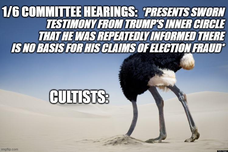 The problem with cultists | 1/6 COMMITTEE HEARINGS:; *PRESENTS SWORN TESTIMONY FROM TRUMP'S INNER CIRCLE THAT HE WAS REPEATEDLY INFORMED THERE
IS NO BASIS FOR HIS CLAIMS OF ELECTION FRAUD*; CULTISTS: | image tagged in ostrich head in sand | made w/ Imgflip meme maker