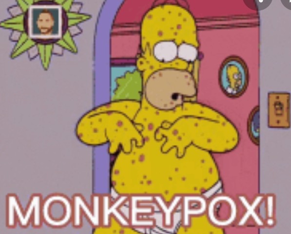 High Quality monkeypox homer Blank Meme Template