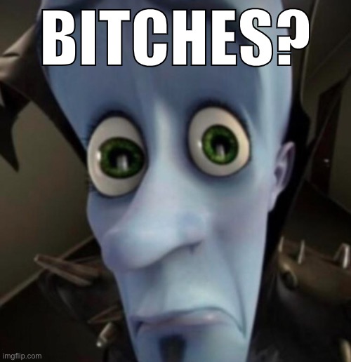 bitches? | BITCHES? | image tagged in bitches | made w/ Imgflip meme maker
