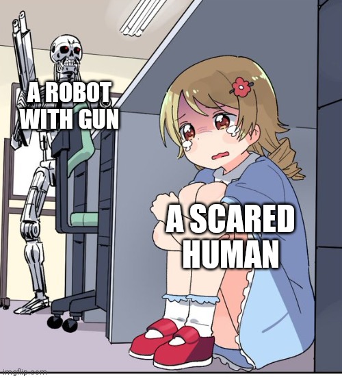 emeM | A ROBOT WITH GUN; A SCARED HUMAN | image tagged in anime terminator | made w/ Imgflip meme maker