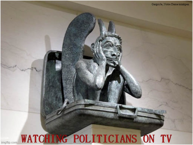 Politicians | Gargoyle, Notre Dame/minkpen; WATCHING POLITICIANS ON TV | image tagged in politics,government,gargoyles,government corruption,parliament,politicians | made w/ Imgflip meme maker