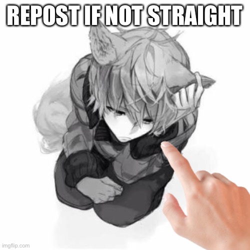 Don’t repost this | REPOST IF NOT STRAIGHT | image tagged in bad catboy | made w/ Imgflip meme maker