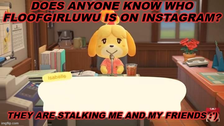 Isabelle Animal Crossing Announcement | DOES ANYONE KNOW WHO FLOOFGIRLUWU IS ON INSTAGRAM? THEY ARE STALKING ME AND MY FRIENDS :') | image tagged in isabelle animal crossing announcement | made w/ Imgflip meme maker