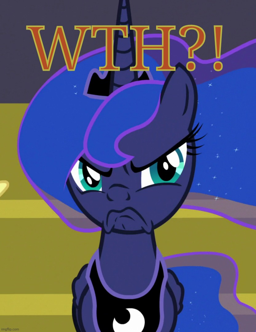 Grumpy Luna (MLP) | WTH?! | image tagged in grumpy luna mlp | made w/ Imgflip meme maker