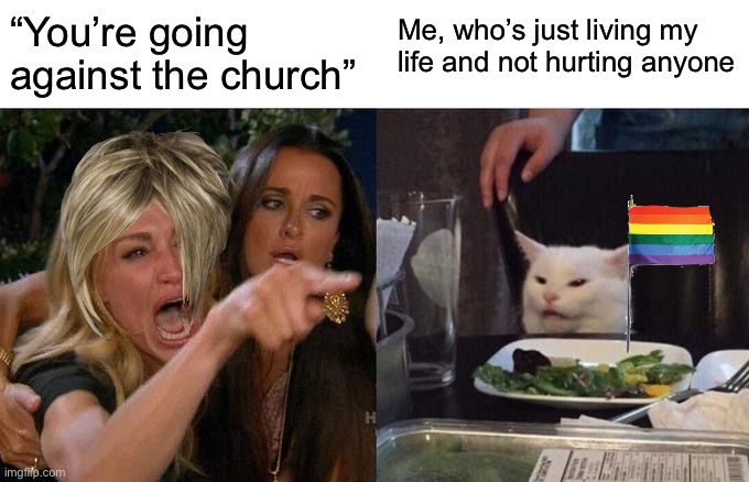 Happy pride month y’all | Me, who’s just living my life and not hurting anyone; “You’re going against the church” | image tagged in memes,woman yelling at cat,pride | made w/ Imgflip meme maker