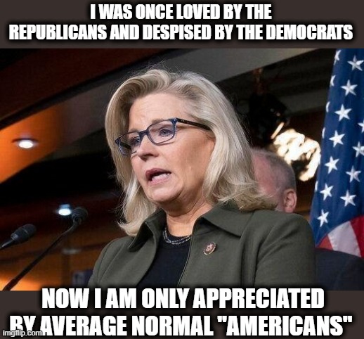 Back in my day, we had standards. | I WAS ONCE LOVED BY THE REPUBLICANS AND DESPISED BY THE DEMOCRATS; NOW I AM ONLY APPRECIATED BY AVERAGE NORMAL "AMERICANS" | image tagged in liz cheney,politics,lock him up,memes,trump is a crook,republicans | made w/ Imgflip meme maker