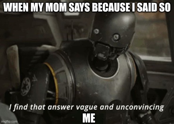 I find that answer vague and unconvincing | WHEN MY MOM SAYS BECAUSE I SAID SO; ME | image tagged in i find that answer vague and unconvincing | made w/ Imgflip meme maker