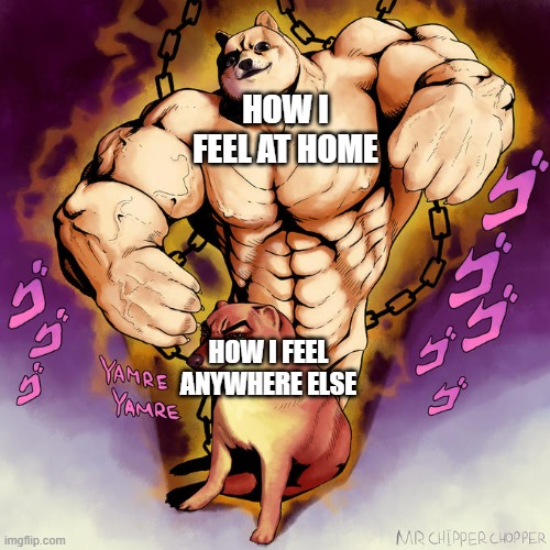 Cheems and Buff Doge Stand | HOW I FEEL AT HOME; HOW I FEEL ANYWHERE ELSE | image tagged in cheems and buff doge stand | made w/ Imgflip meme maker
