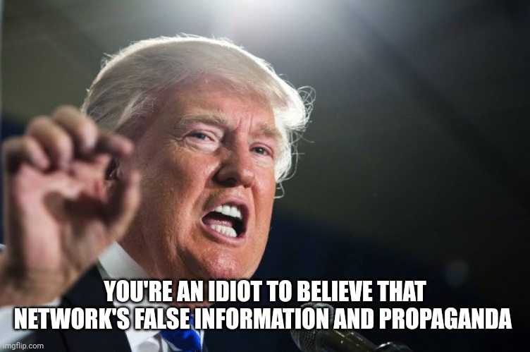 donald trump | YOU'RE AN IDIOT TO BELIEVE THAT NETWORK'S FALSE INFORMATION AND PROPAGANDA | image tagged in donald trump | made w/ Imgflip meme maker